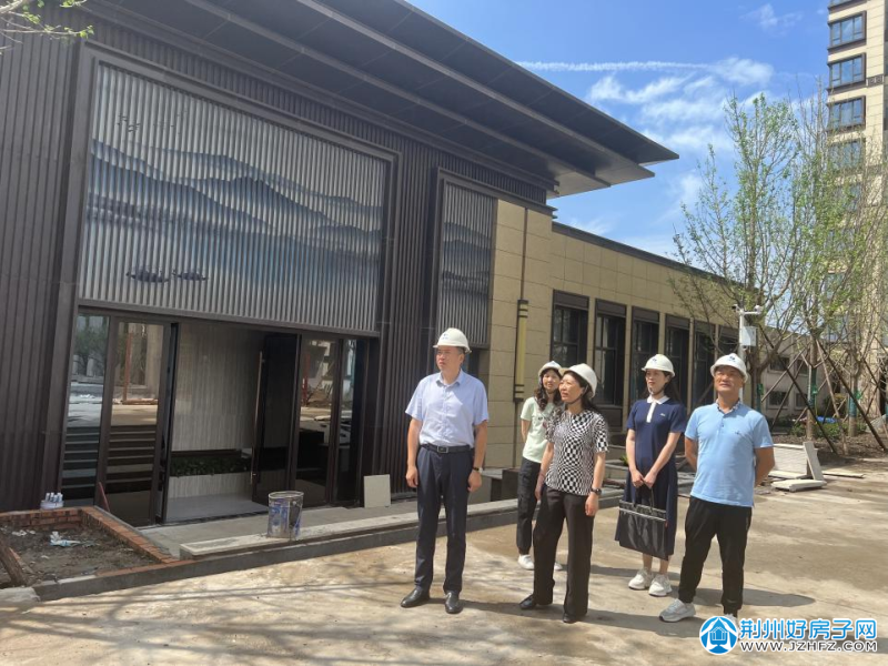 东丽区住房和城乡建设局最新项目深度研究揭晓